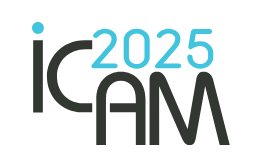 icam logo 2025